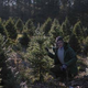 L to R: Tree, Joe Pera (Photo: Adult Swim)
